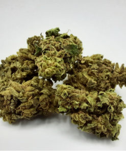 100517-003 Sladka melona EU srednja