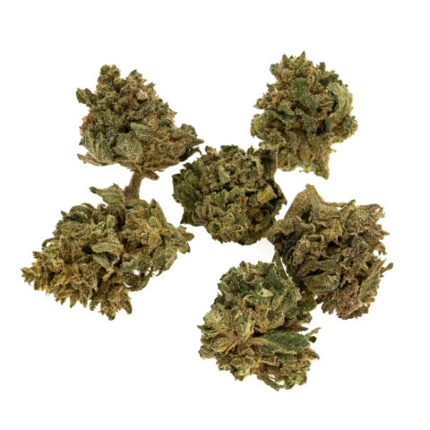 trava-cbd-cannatonic-babybuds-eu_web