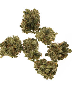 plevel-CBD-rojstni dan-cake_#3-buds_web