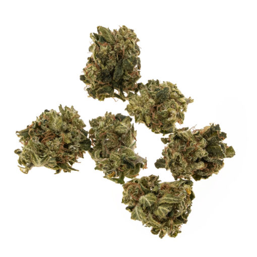plevel-CBD-rojstni dan-cake_#3-buds_web